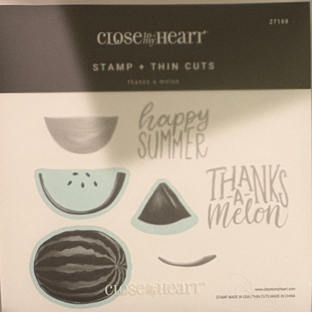 Close to My Heart Watermelon Stamp & Thin Cuts - Light Blue Accents